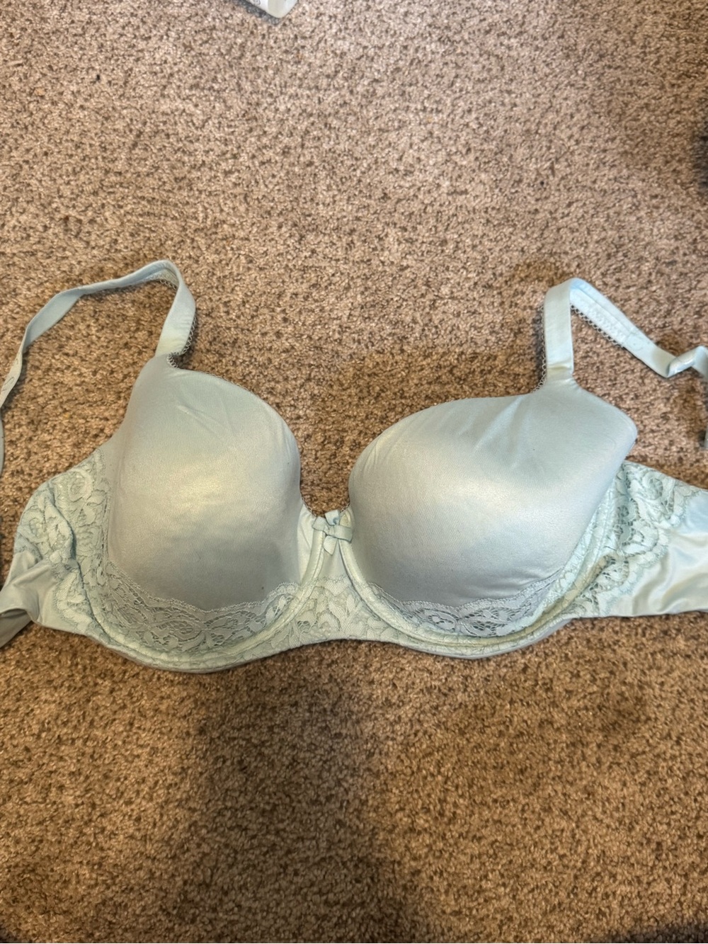 Victoria's Secret Sage Green Lace-Trim T-Shirt Bra. Small stain (pictured)